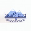 Bluebird Orthodontics